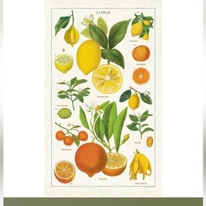 Cavallini & Co Vintage Citrus Botanical Print Cotton Tea Towel